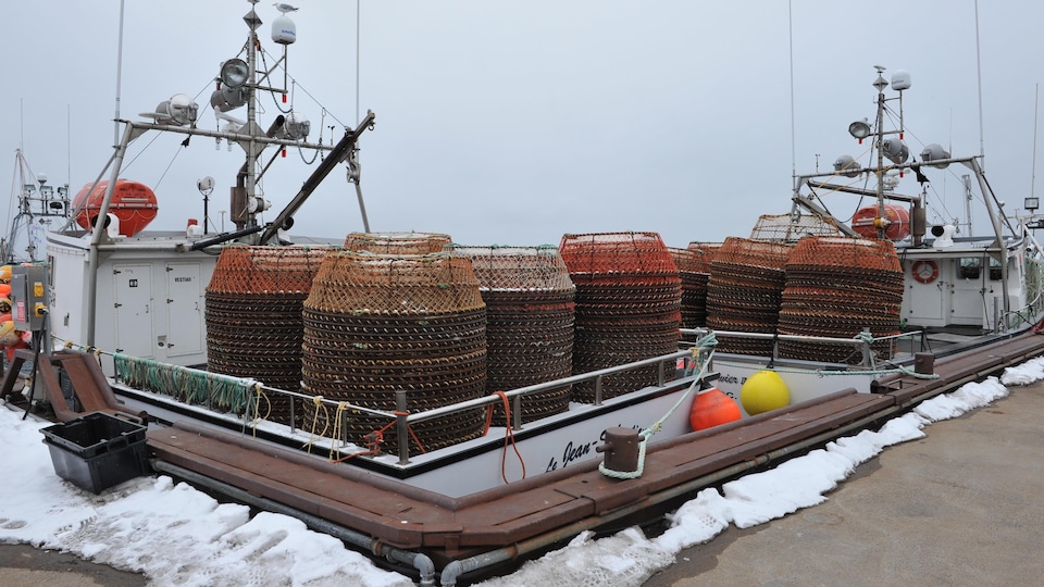Des bateaux de pêche pleins de cages à crabe des neiges à quai.