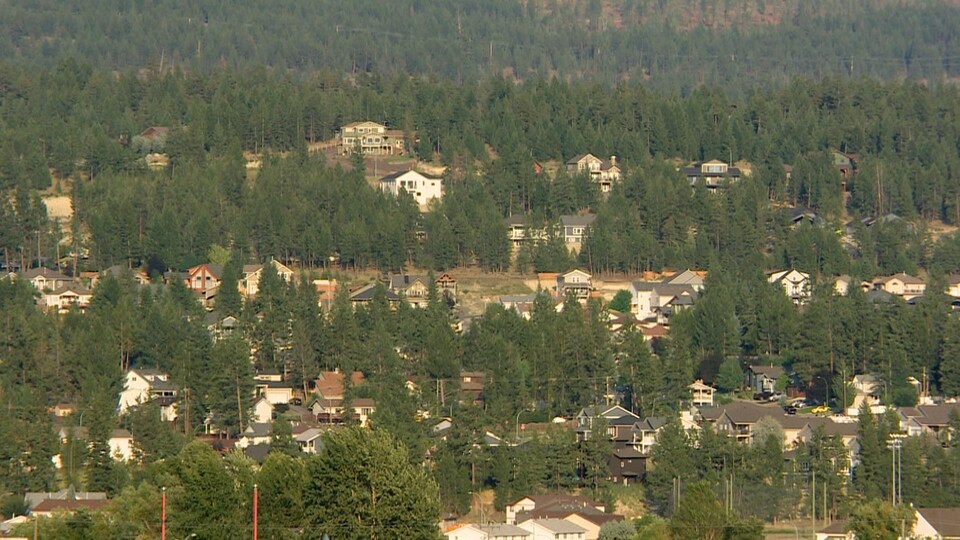 Plusieurs maisons entourées de conifères sur une colline.