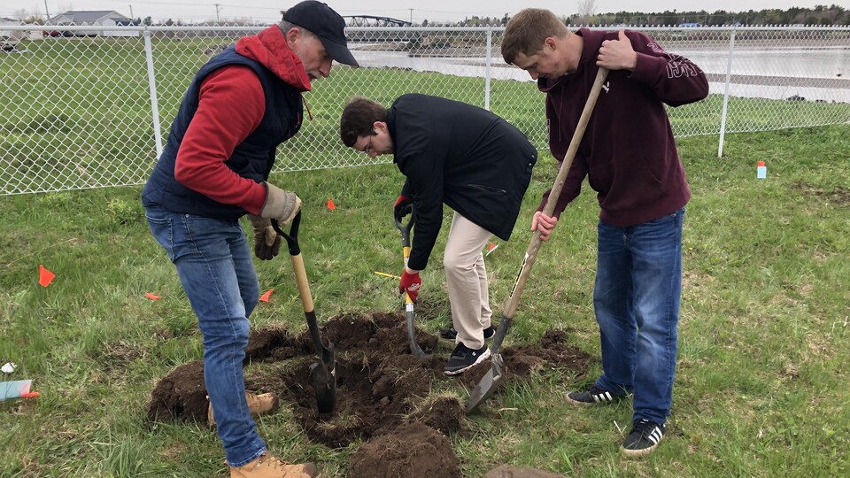 Trois hommes creusent un trou. 