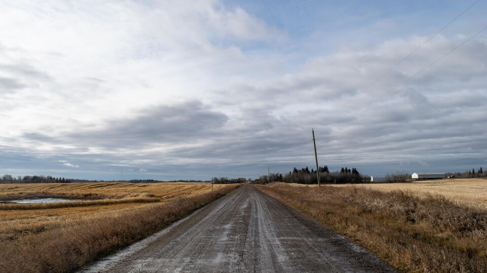 Route de campagne en Alberta.