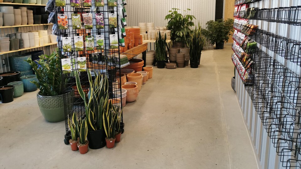 L'intérieur de la PME. Il y a des pots à fleur et des plantes au sol.
