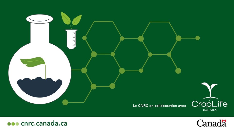 Une publication du Conseil national de recherches du Canada qui annonce sa collaboration avec CropLife.