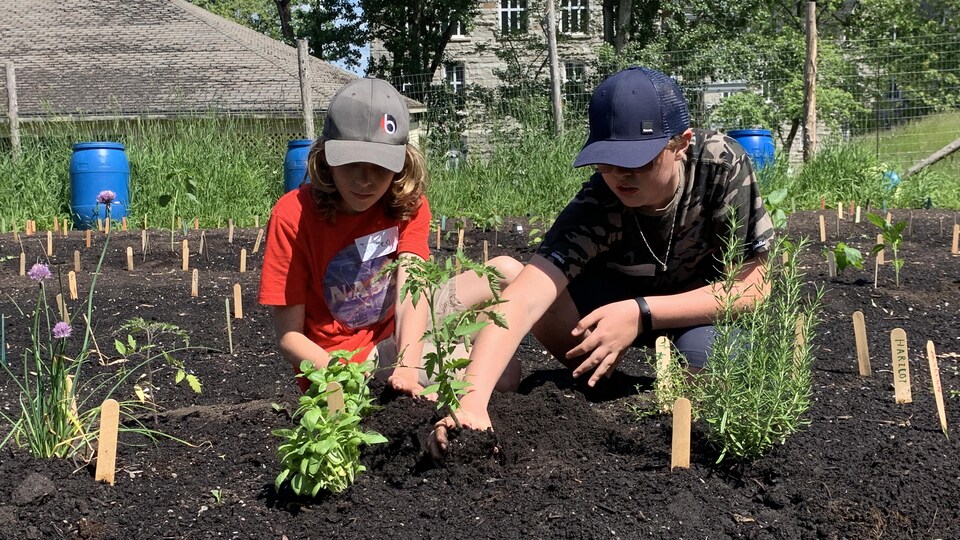 Deux enfants s'occupent de plantes.
