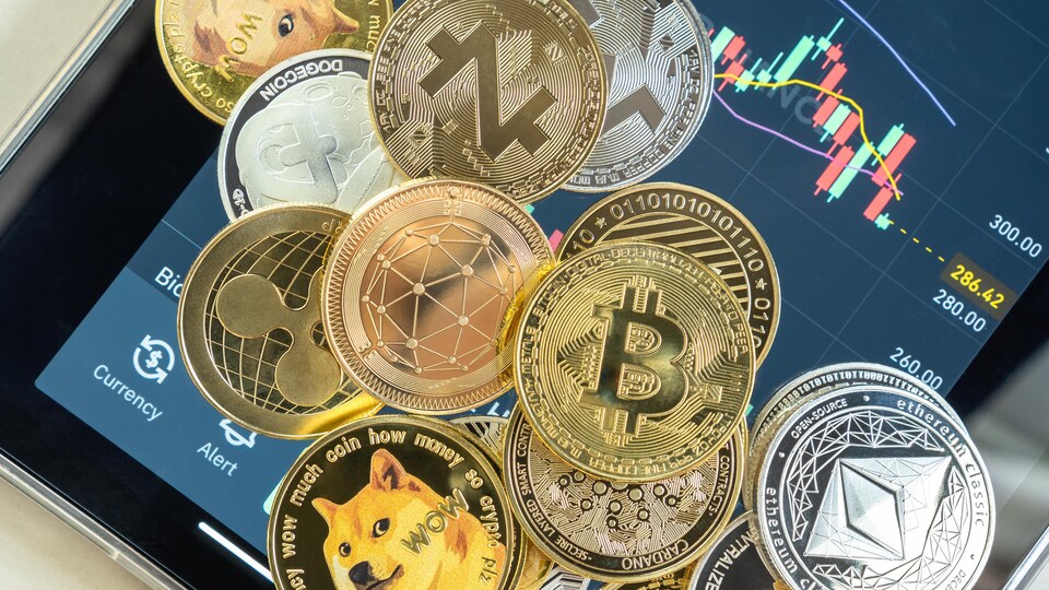 fnb cryptomonnaie
