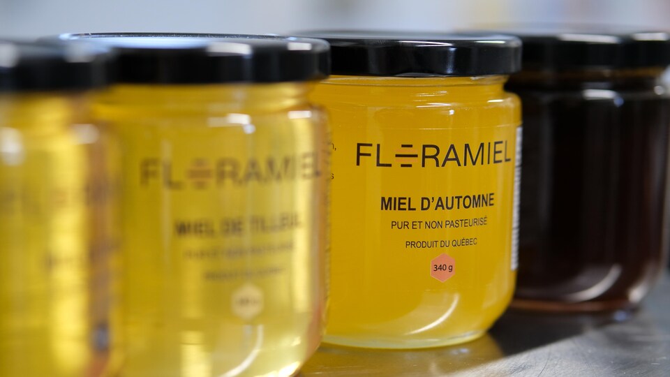Un couple d'apiculteurs de Val-Alain met en valeur les parfums nobles du patrimoine végétal québécois dans chacun de leur miel.