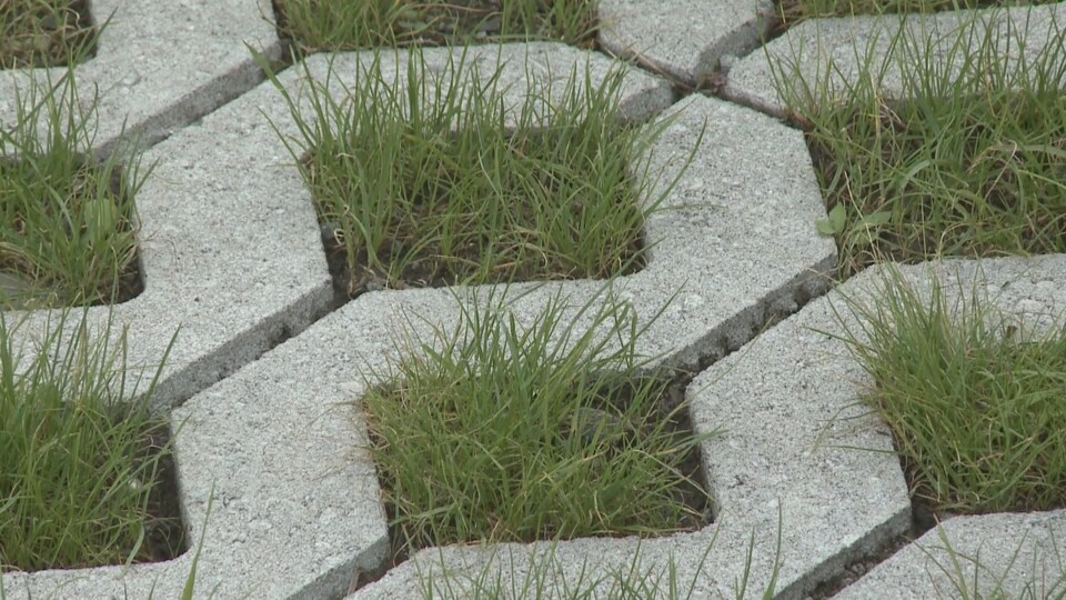 De l'herbe pousse à travers des dalles trouées.