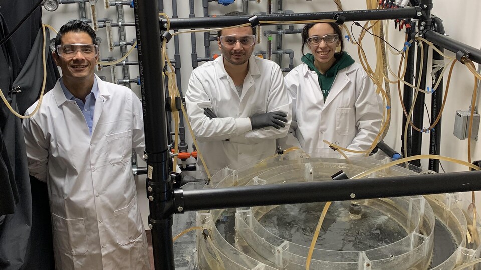 Daniel Barreda, Amro Soliman, Farah Haddad dans un laboratoire de recherche à l'Université de l'Alberta.