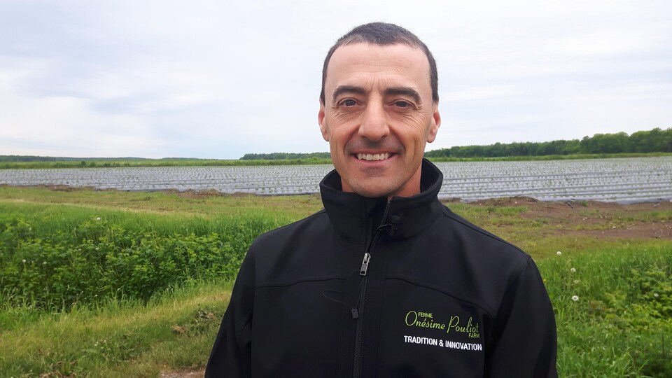 Daniel Pouliot, copropriétaire de la Ferme Onésime Pouliot, devant l'un de ses champs de fraises.