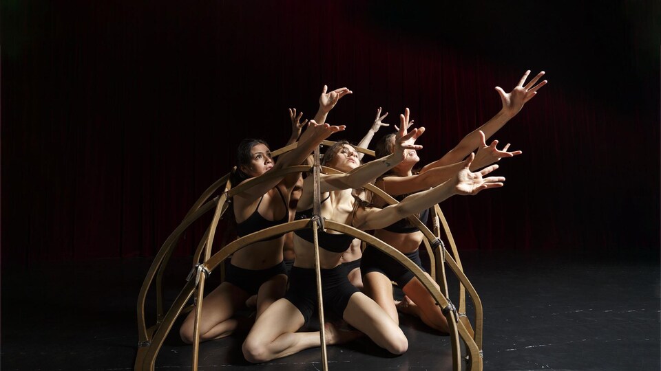Quatre danseuses agenouillées sur une scène sombre tendent leurs bras vers le haut.
