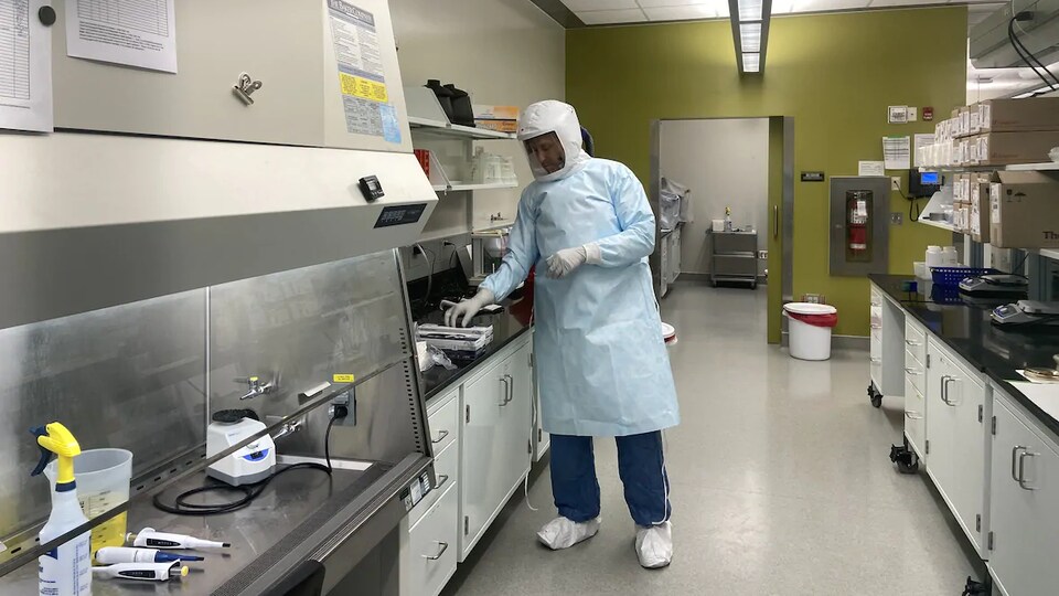 Le chercheur Darryl Falzarano dans son laboratoire.