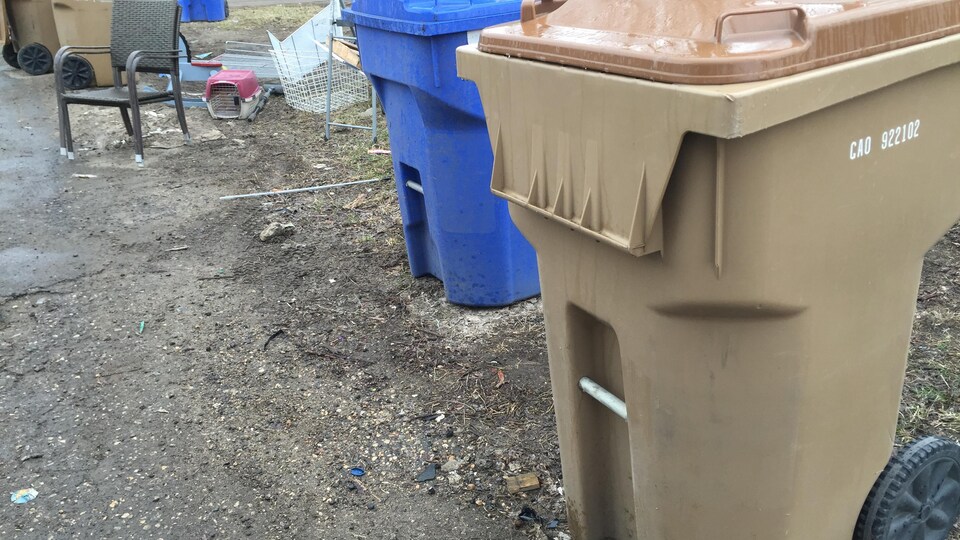 Un bac de déchets et un bac de recyclage sur le bord d'une rue à Regina. 