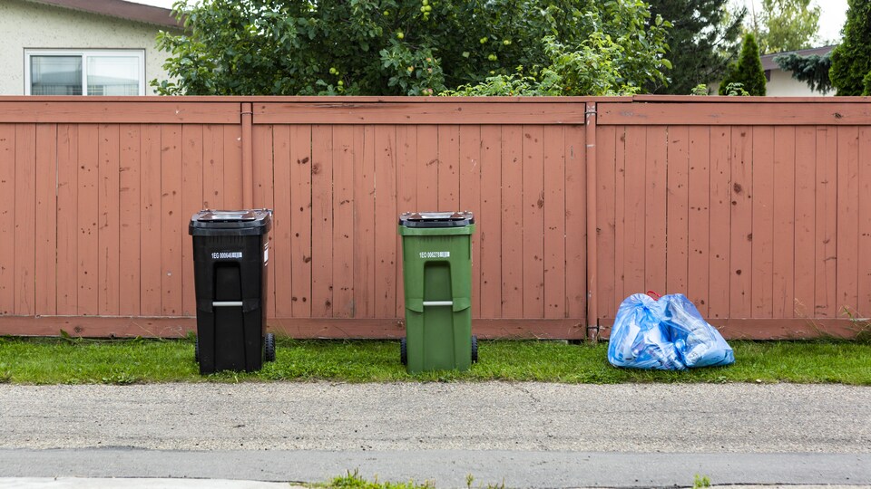 Un grand bac noir, un grand bac vert et un sac de recyclage sur le bord d'une rue.