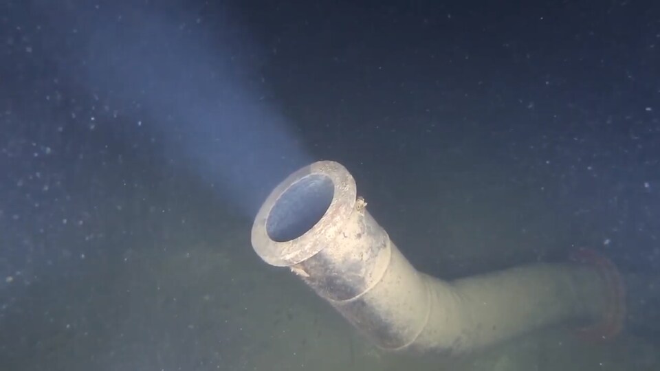 Un tuyau rejette sous l'eau un liquide chargé de particules.