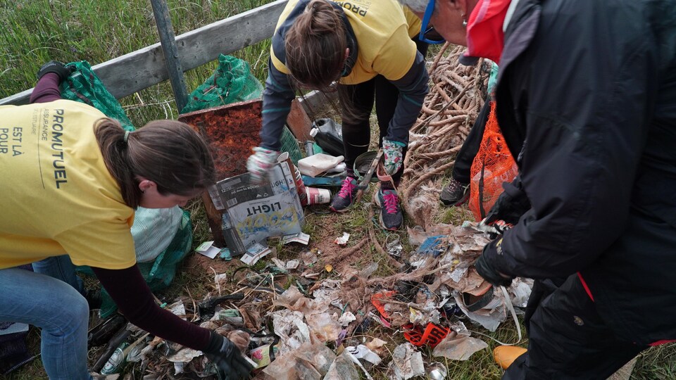 Des bénévoles se penchent pour récolter des déchets au sol.