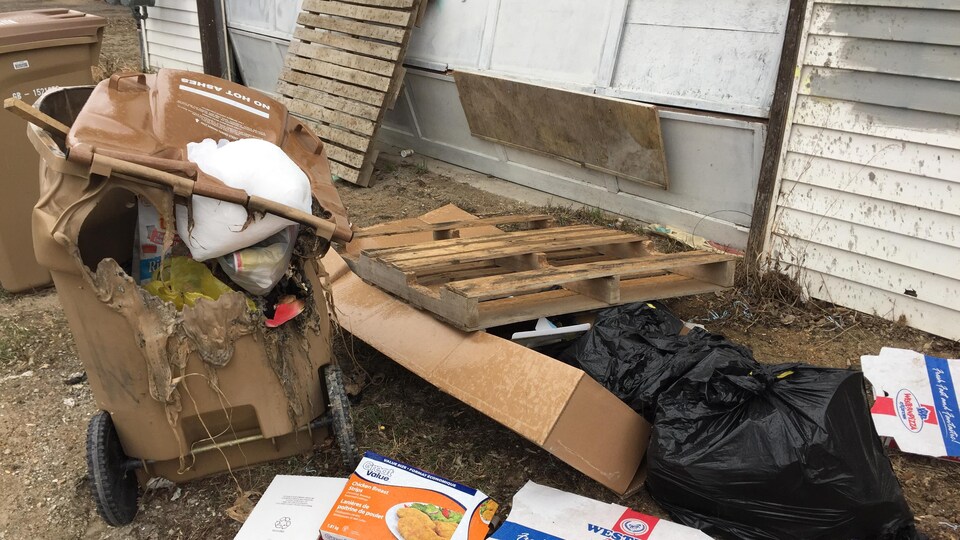 Des déchets et des ordures près d'un garage dans une ruelle.