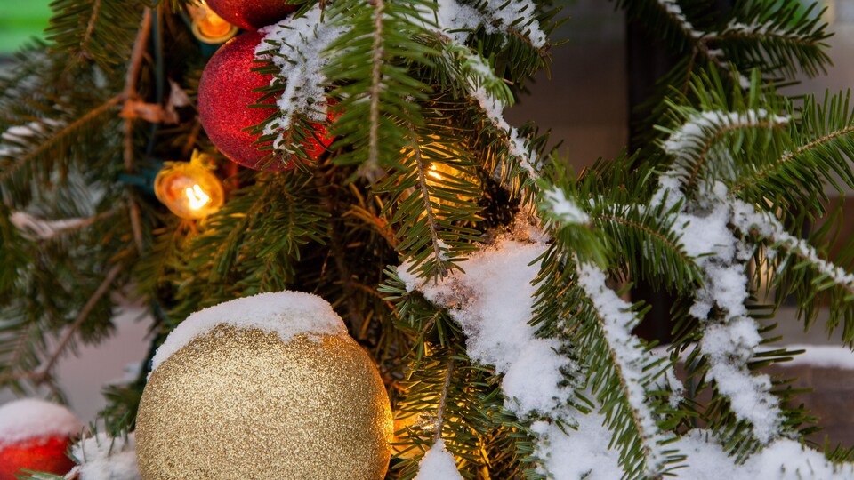 Un sapin de Noël décoré de boules brillantes et de lumières est enneigé.
