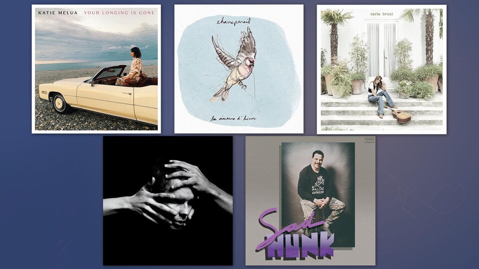 Montage des cinq albums suggérés dans la chronique.