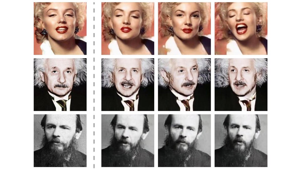 Trois rangées de photos. La première contient des photos de Marilyn Monroe, la seconde des photos d'Albert Einstein et la troisième des photos de Fedor Dostoïevski.