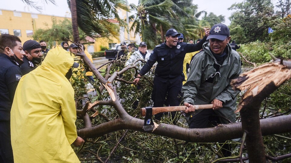 Des pompiers coupent des branches d'un arbre tombé en raison de la tempête.