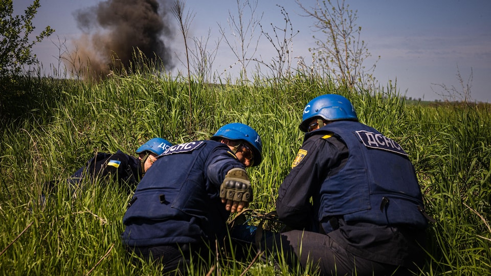 Deminers in an agricultural field.