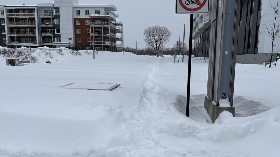 Un chemin de marche est improvisé sur une allée enneigée.