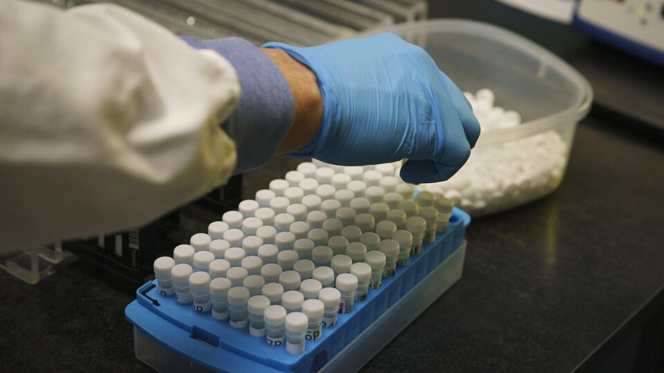 Des éprouvettes de dépistage de la COVID-19 dans un laboratoire.