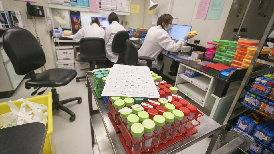 Un laboratoire avec des préposés et des éprouvettes.