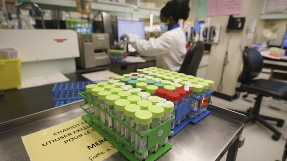 Des éprouvettes de dépistage de la COVID-19 dans un laboratoire.