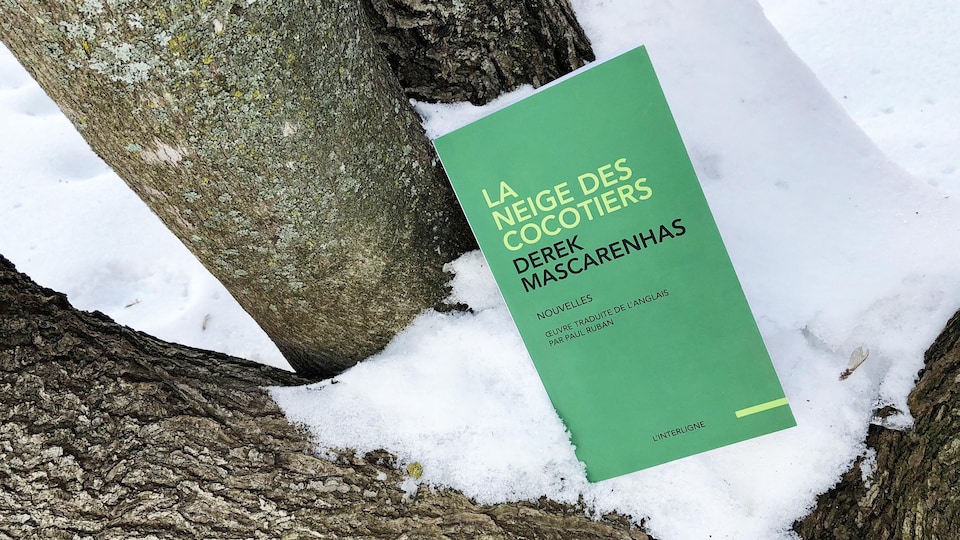 Le livre à la couverture verte est posé sur de la neige dans les branches d'un arbre.