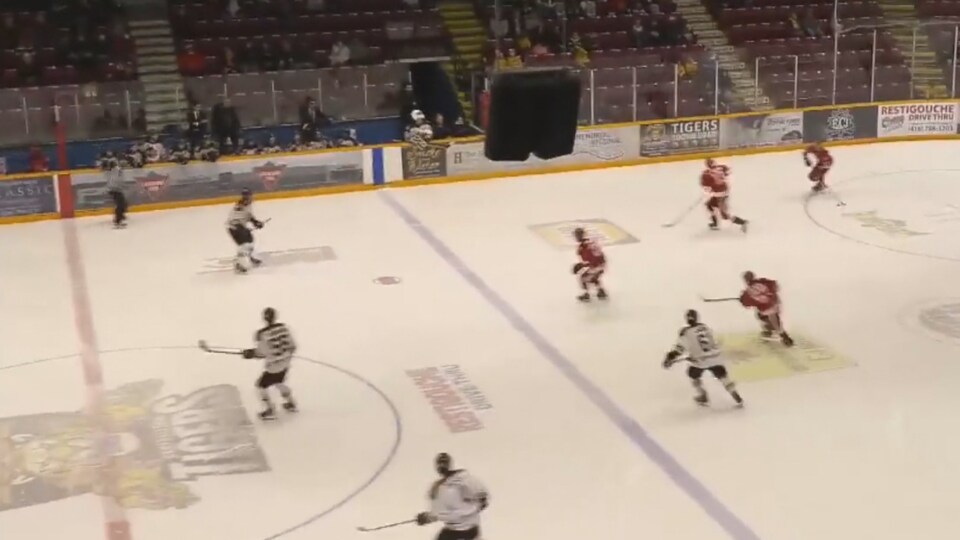 Des joueurs des Red Wings de Fredericton et des Tigres de Campbellton sur la glace. 