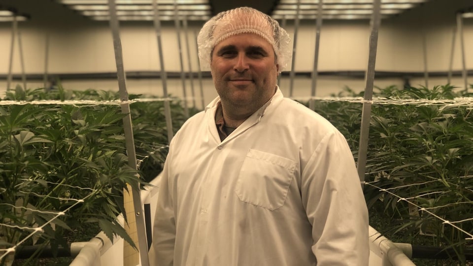Philippe Laperrière dans l'une des trois salles de culture de cannabis de l'usine Fuga à Stoneham.