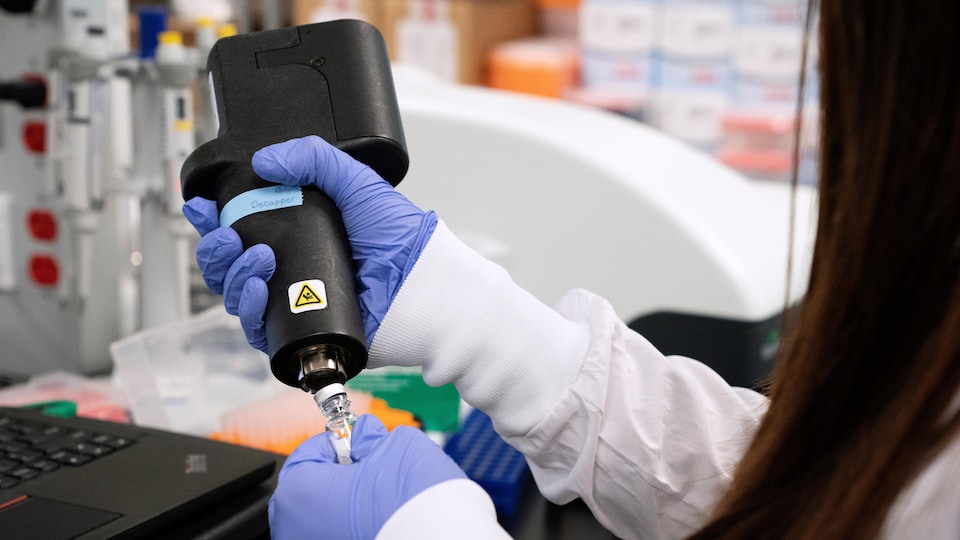 Une femme fait des manipulations en laboratoire dans le cadre de travaux visant à mettre au point un vaccin.
