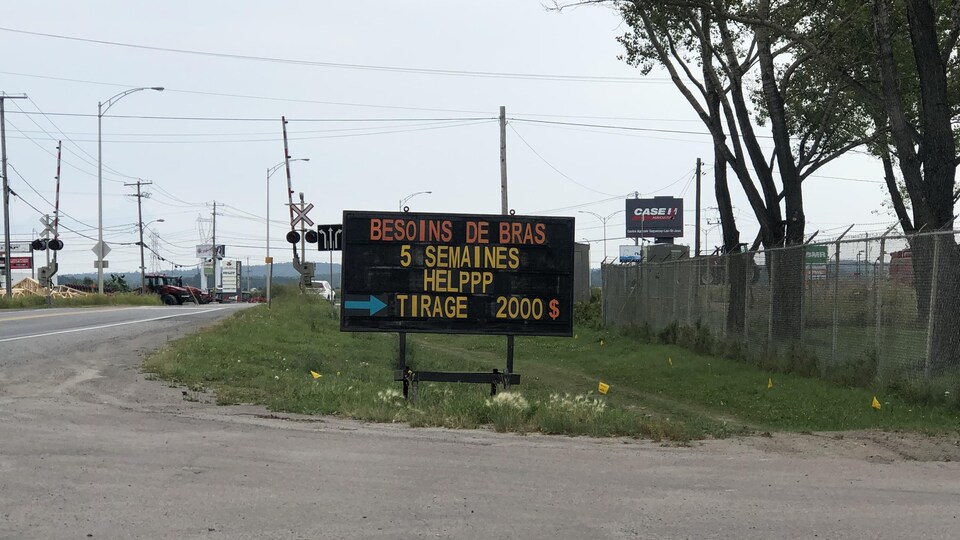 Un panneau en bordure de route sur lequel on peut lire : besoin de bras, 5 semaines, tirage 2000 $.