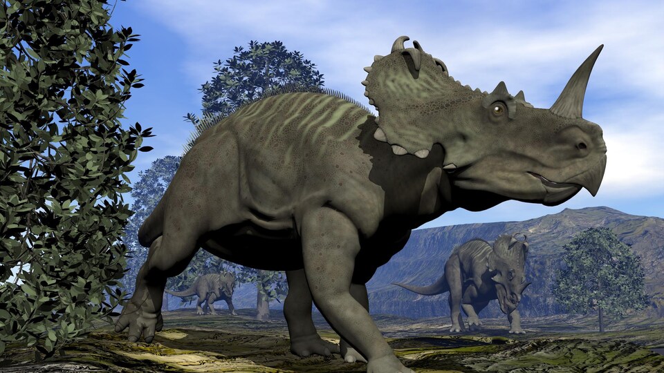Représentation artistique d'un Centrosaurus, un dinosaure du groupe des cératopsiens.