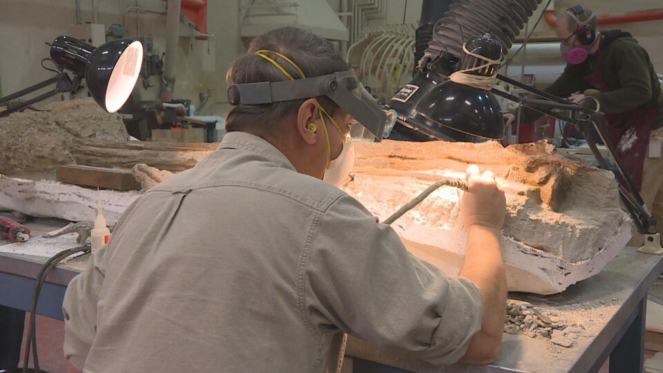 Un homme portant un masque gratte un fossile à l'aide d'un instrument électrique.