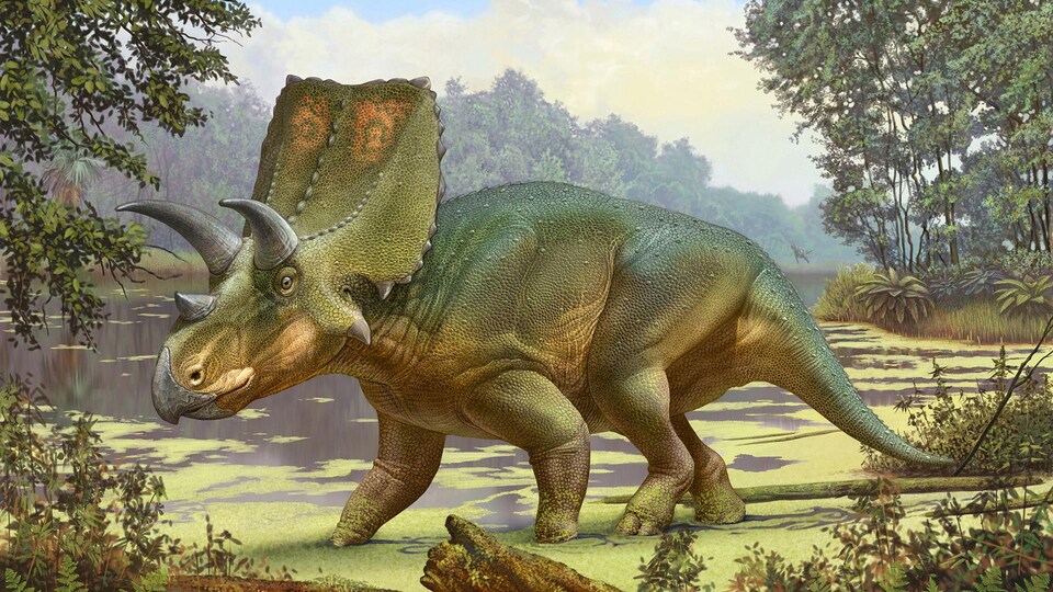 Illustration artistique d'un Sierraceratops turneri dans son milieu naturel.