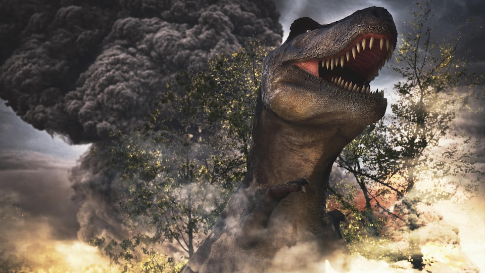 Illustration montrant un dinosaure à la suite de la chute d'un astéroïde.