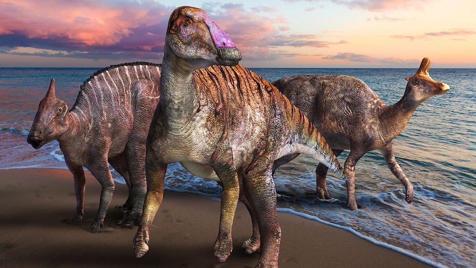 Représentation artistique d'un Yamatosaurus izanagii sur le bord de l'océan.