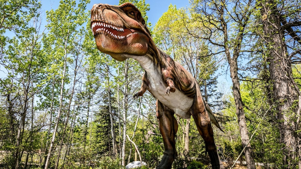 Un dinosaure dans un bois.