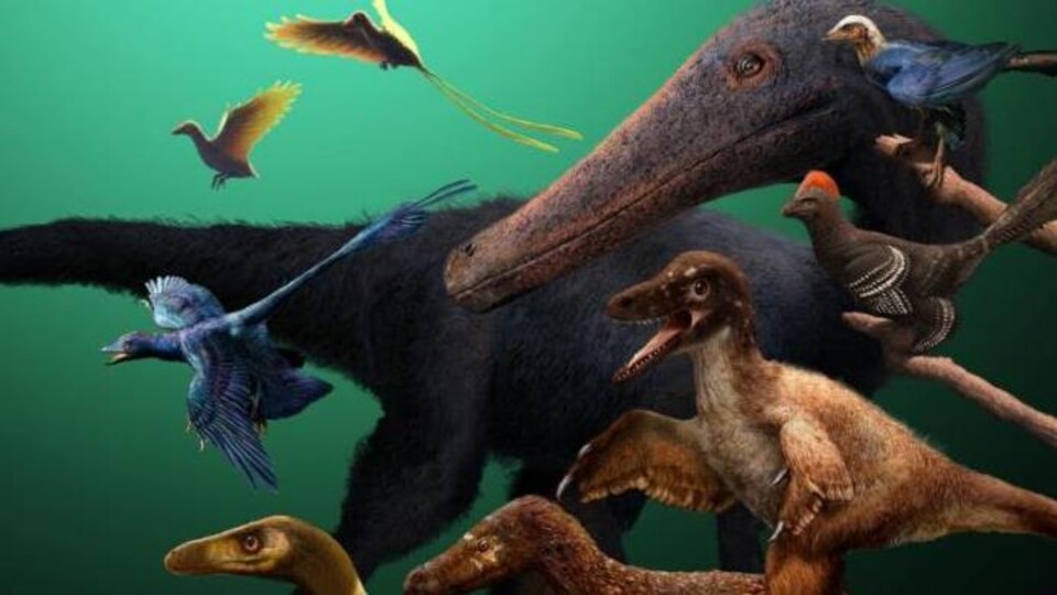 Illustration artistique montrant différents types de dinosaures.
