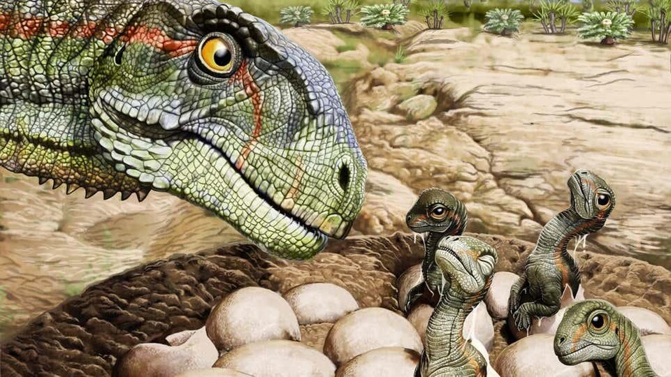 Illustration montrant un Mussaurus patagonicus adulte protégeant des bébés et des œufs.