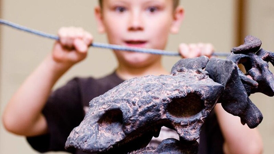Un enfant avec un squelette de dinosaure dans les mains.