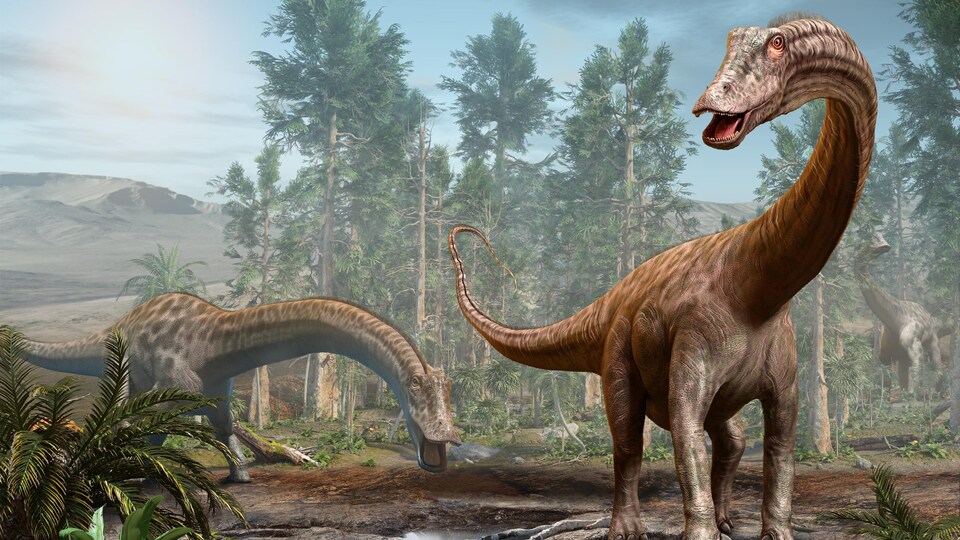Des dinosaures Diplodocus dans leur milieu naturel. (illustration artistique)