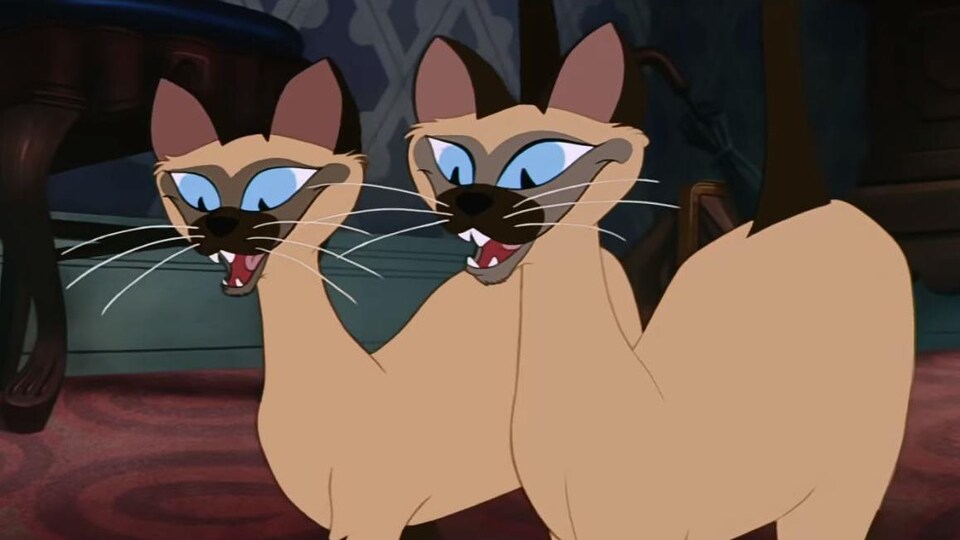 Deux chats siamois en dessins animés.