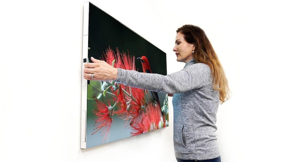 Une personne tient une télévision dans ses mains.