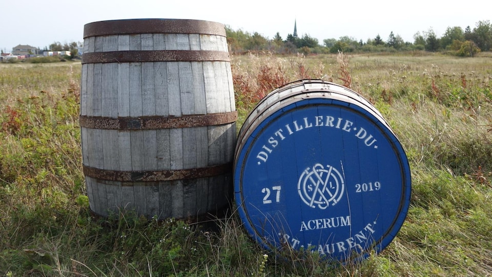Deux barils au logo de la distillerie posés dans le champs où la nouvelle bâtisse sera construite.