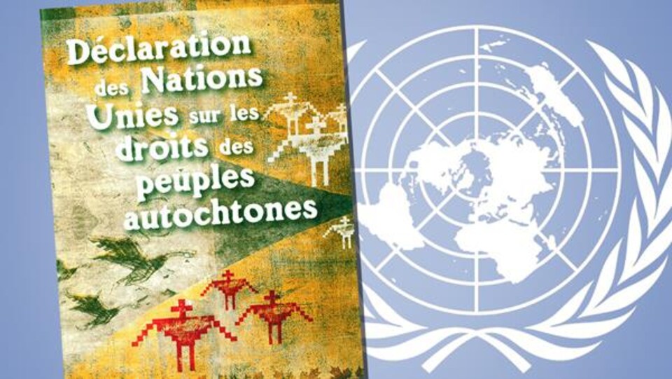 Image d'un livret avec pour titre Déclaration des Nations Unies sur les droits des peuples autochtones.