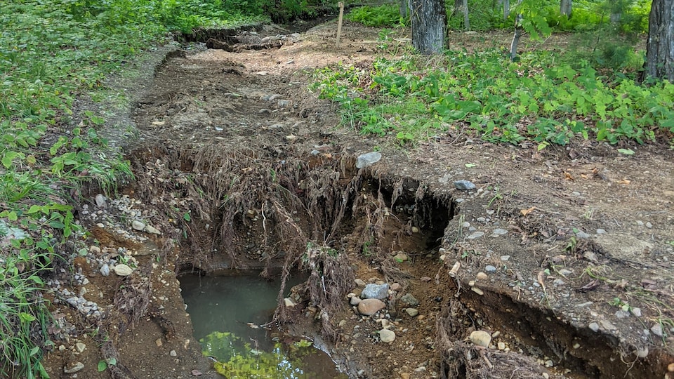 Le sentier du Domaine à Liguori, tout de suite après les dommages subis en raison du ruissellement de l'eau