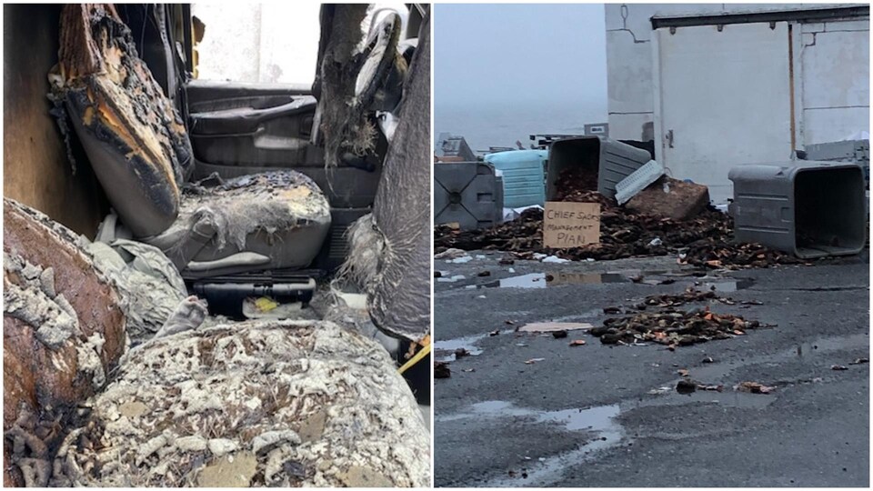 L'intérieur d'une voiture incendiée et des dizaines de homards sur l'asphalte devant un entrepôt.