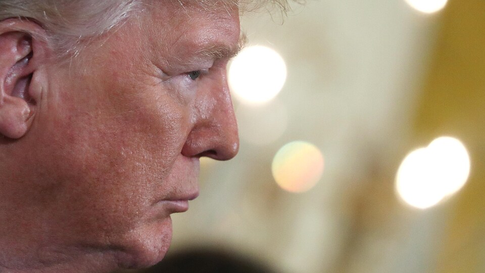 Donald Trump, de profil